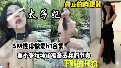 在马车上干了太子妃的小说